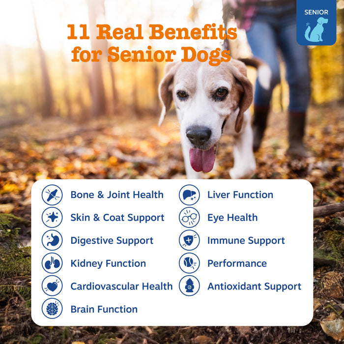 Zesty Paws Senior Advanced 11-in-1 Multivitamin Bites, Chicken Flavor, 90ct for Dogs