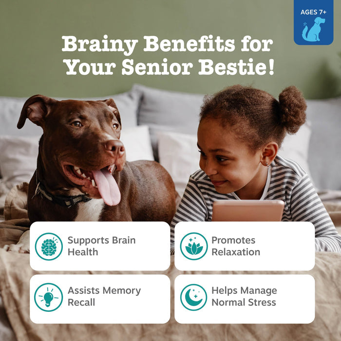 Zesty Paws Senior Advanced Calming + Cognition Bites, Chicken Flavor, 90ct for Dogs
