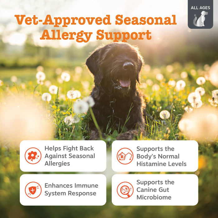 Zesty Paws Vet Strength Allergy & Immune Bites, Smoked Cheese Flavor, 90ct for Dogs