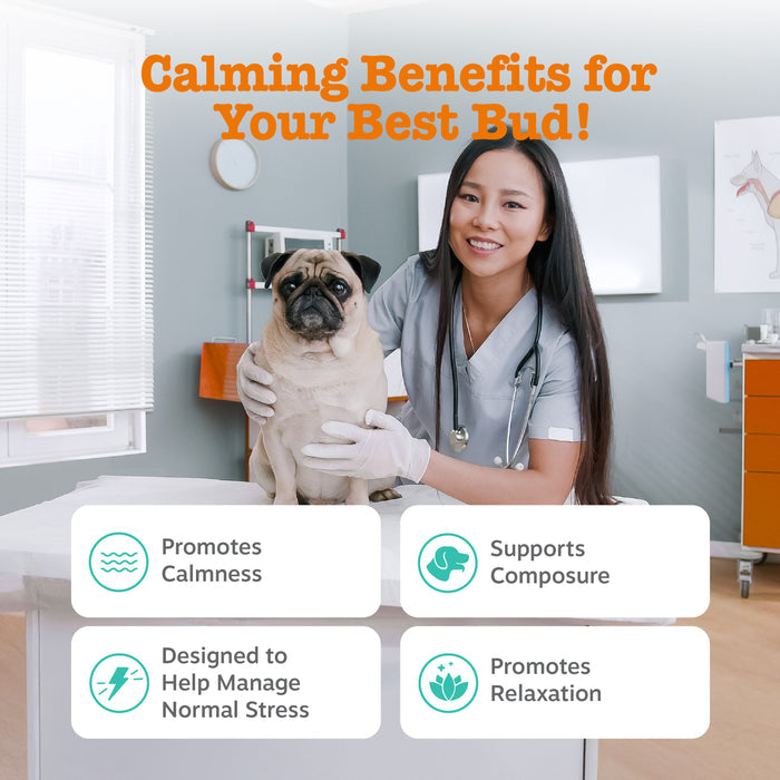 Zesty Paws Vet Strength Calming Bites, Turkey Flavor, 90ct for Dogs
