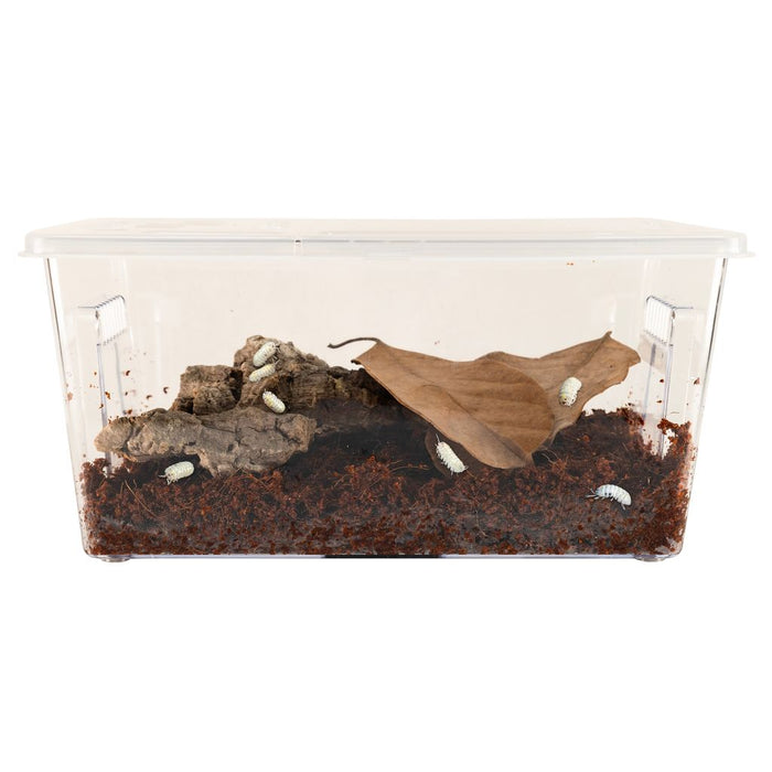 Zoo Med Creatures® Roly-Poly Kit – Isopod Habitat