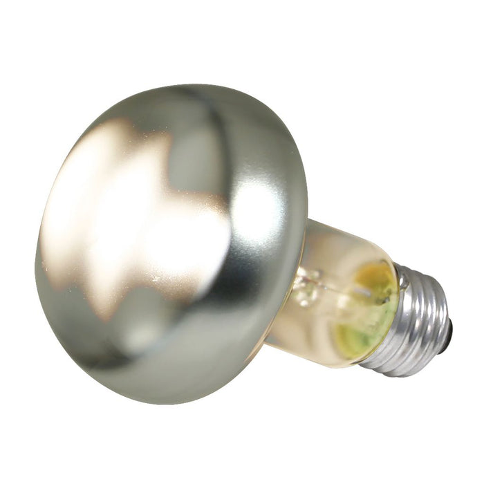 Zoo Med Repti Basking Spot® Lamp