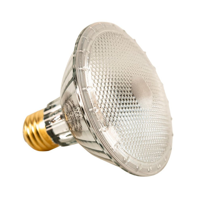 Zoo Med Repti Tuff™ Splashproof Halogen Lamp