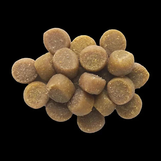 Zuke's Puppy Naturals Salmon Recipe Dog Treats, 5 oz.