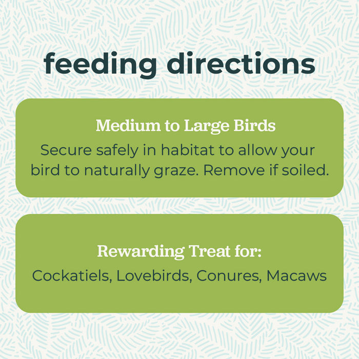 Zupreem Grazing Snack
